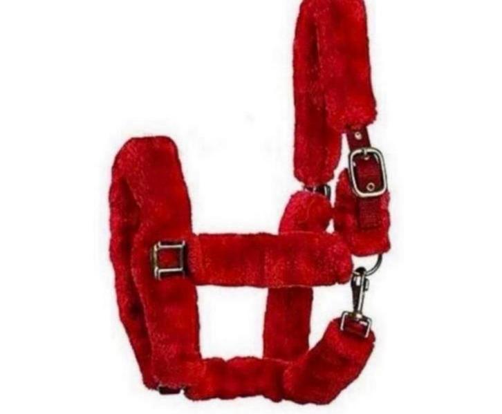 Elico Kingston Halster paard paarden gewatteerd pluizig rood, Dieren en Toebehoren, Paarden en Pony's | Hoofdstellen en Tuigage