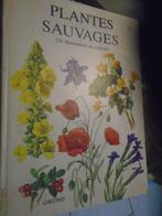 GRUND:"BIEN VIVRE AVEC LES PLANTES"PLANTES SAUVAGES", Enlèvement ou Envoi, GRUND