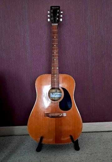 Diana Western Acoustic Guitar beschikbaar voor biedingen