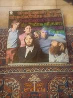 Lp van The Beach Boys, Cd's en Dvd's, Vinyl | Pop, Overige formaten, 1960 tot 1980, Gebruikt, Ophalen of Verzenden