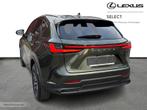 Lexus NX 350h Executive Line + HUD, Autos, Lexus, Argent ou Gris, Achat, 2487 cm³, 5 portes