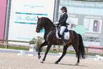 Lesgeefster Alessia Jacobs-dressuur-dressuur mennen-springen, Dieren en Toebehoren, Paarden, ZZ