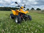 Kymco kxr, 1 cilinder, 250 cc