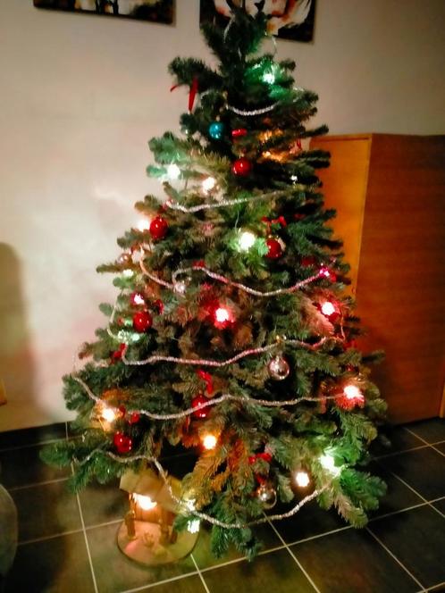kerstboom + versiering + kerststal, Divers, Noël, Utilisé, Enlèvement