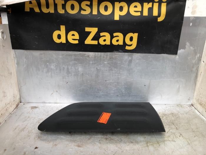 Bande décorative d'un Citroen C4 Cactus, Autos : Pièces & Accessoires, Carrosserie & Tôlerie, Citroën, Utilisé, 3 mois de garantie