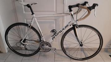 Chique als nieuw Racefiets Batavus 28 inch -   beschikbaar voor biedingen