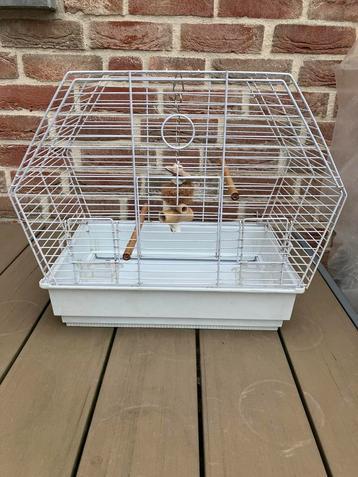 WITTE VOGELKOOI MET TOEBEHOREN NU 25 EURO beschikbaar voor biedingen