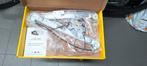 Magneti Marelli Raammechanisme BMW E46 links of rechts voor, Ophalen, Nieuw, BMW