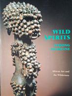 Afrikaans kunstboek., Ophalen of Verzenden