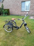 elec fiets, Fietsen en Brommers, Ophalen, Nieuw