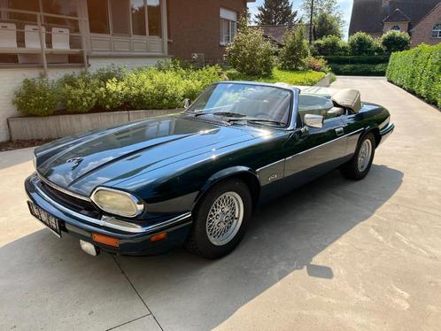 Jaguar XJS Cabriolet Ancetre, Autos, Jaguar, Entreprise, Achat, XJS, Essence, Cabriolet, 2 portes, Automatique, Vert, Beige, Cuir