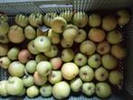 Biologische appelen, Ophalen