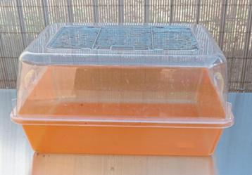 verblijf voor waterschildpadjes beschikbaar voor biedingen