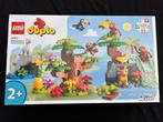 Duplo 10973 wilde dieren van zuid amerika, Ophalen of Verzenden, Gebruikt, Duplo