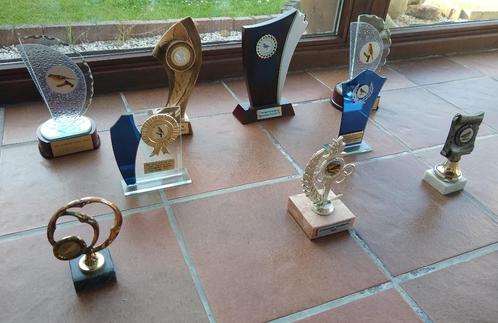 Trofeeën/wedstrijdbekers/prijsbekers/awards - zo goed als ni, Hobby en Vrije tijd, Overige Hobby en Vrije tijd, Zo goed als nieuw