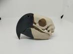 Schedel van geel blauwe ara handgemaakt, Antiek en Kunst, Ophalen of Verzenden