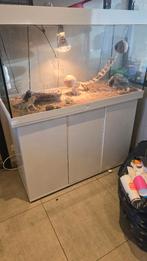 Aquarium 350 liter, Ophalen of Verzenden