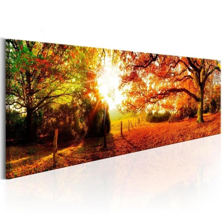 Nieuw canvas schilderij panorama Herfstbos 120 x 40 cm, Huis en Inrichting, Woonaccessoires | Schilderijen, Tekeningen en Foto's