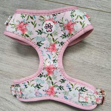 Harnas / Tuigje Paw My God! Bloemen S beschikbaar voor biedingen