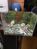 Aquarium, Ophalen, Zo goed als nieuw