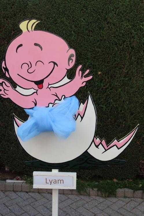 Mooi geboortebord of ooievaar huren? geen waarborg., Kinderen en Baby's, Kraamcadeaus en Geboorteborden, Nieuw, Geboortebord, Ophalen