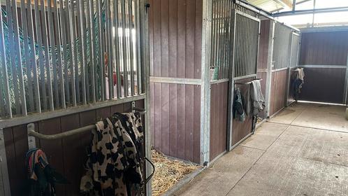 Stal + weidegang te huur in Duffel, Dieren en Toebehoren, Stalling en Weidegang, Weidegang