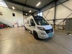 MOTORHOME INKOOP alle merken en types!, Caravans en Kamperen, Pössl, Bus-model, Particulier, Tot en met 4