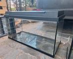 80cm juwel aquarium, Enlèvement ou Envoi