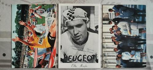 Postkaarten + foto's Merckx, Van Springel en Sercu, Verzamelen, Muziek, Artiesten en Beroemdheden, Zo goed als nieuw, Foto of Kaart