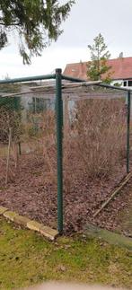 10 grote blauwbessen struiken, Tuin en Terras, Ophalen