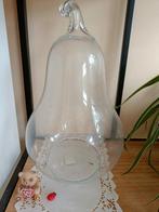 Terrarium peer voor workshop, Ophalen, Zo goed als nieuw