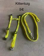 Kitten /katten tuig, Dieren en Toebehoren, Ophalen, Zo goed als nieuw