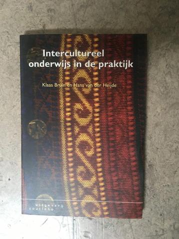 Intercultureel onderwijs in de praktijk  beschikbaar voor biedingen