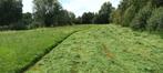 hooi en stro, Zakelijke goederen, Landbouw | Veevoer, Ophalen