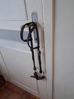 Gvr hoofdstel met bit, Enlèvement ou Envoi, Western