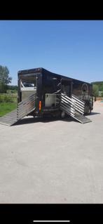 Paardencamion, Auto's, Zwart, Zwart, Particulier, Volvo