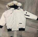 Canada goose maat L, Kleding | Heren, Ophalen