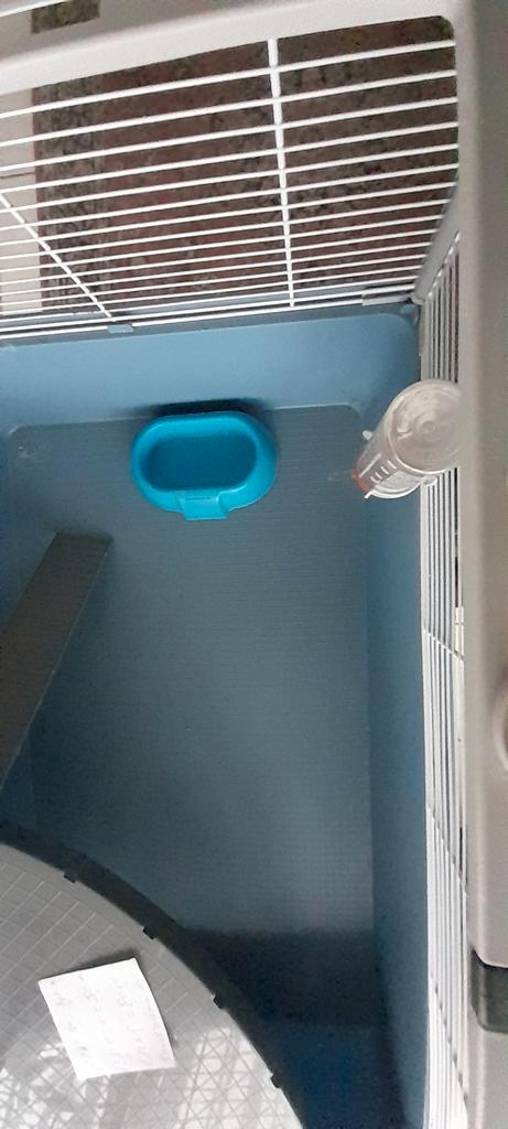 Verkoop mijn groot dieren kooitje. (CAVIAS = DWERGKONIJNTJES, Dieren en Toebehoren, Vogels | Hokken en Kooien, Zo goed als nieuw