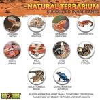 terrarium en verre | LIVRAISON GRATUITE, Neuf, -, -, EXO TERRA