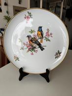 Handgeschilderde schotel  Alboth&Kaiser  Bavaria, Antiek en Kunst, Ophalen