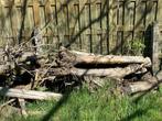 Hout gratis af te halen - dunne sparren, Tuin en Terras, Brandhout, Ophalen, Overige houtsoorten, Stammen
