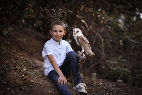 🦉 Séance photo avec rapaces – Capturez l'instant !, Hobby en Vrije tijd, Feestartikelen, Nieuw, Ophalen