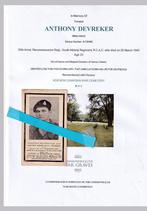 Soldat canadien tué avec M.M. NL Adegem, Photo ou Poster, Armée de terre, Enlèvement ou Envoi