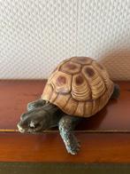 Schildpad beeldje, Ophalen
