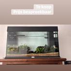 Aquarium nog steeds in werking, Dieren en Toebehoren, Ophalen, Gebruikt, Gevuld zeewateraquarium
