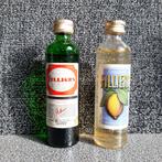 Lot de 2 mignonettes - Genièvre - Filliers, Ophalen of Verzenden, Gebruikt