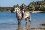Mooie C-Pony 1m33, Dieren en Toebehoren, B, Dressuurpony, C pony (1.27m tot 1.37m), 11 jaar of ouder