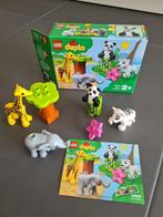 Duplo baby dieren (10904), Kinderen en Baby's, Ophalen, Zo goed als nieuw, Complete set, Duplo