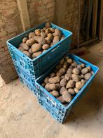 Aardappelen (Witte & Rode) Te Koop, Zakelijke goederen, Landbouw | Aardappelen, Groenten, Fruit en Vlees, Ophalen