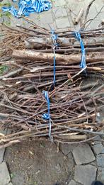 gratis, Tuin en Terras, Brandhout, Ophalen